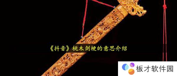 《抖音》桃木剑梗的意思介绍