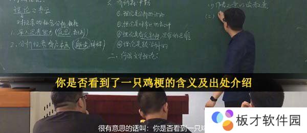 你是否看到了一只鸡梗的含义及出处介绍