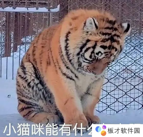 网络用语能有什么坏心眼呢是什么梗