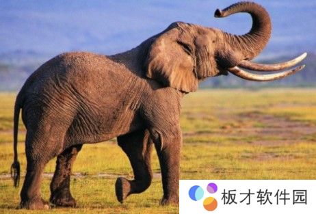 2021《微博》1月30日森林驿站每日一题答案