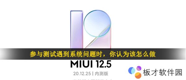 参与测试遇到系统问题时，你认为该怎么做