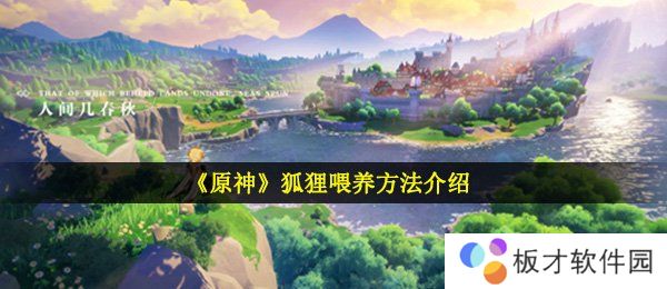 《原神》狐狸喂养方法介绍