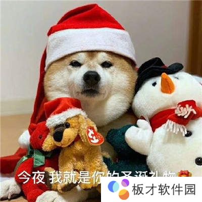 《抖音》圣诞节表情包分享