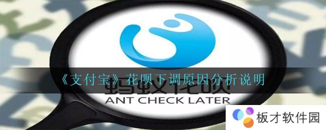 《支付宝》花呗下调原因分析说明