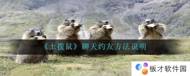 《土拨鼠》聊天约友方法说明