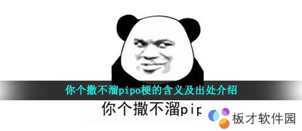 你个撒不溜pipo梗的含义及出处介绍