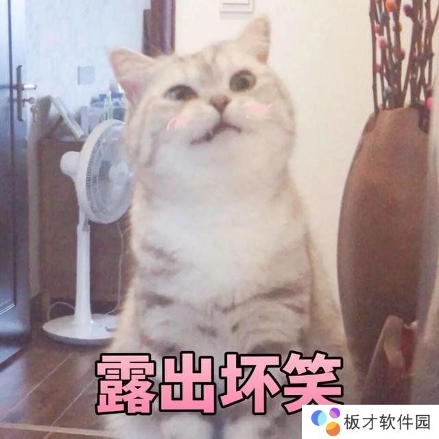 猫猫能有什么坏心眼呢梗意思说明