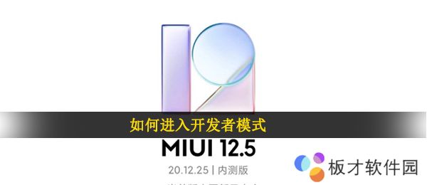 如何进入开发者模式