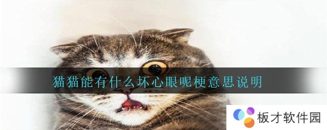 猫猫能有什么坏心眼呢梗意思说明