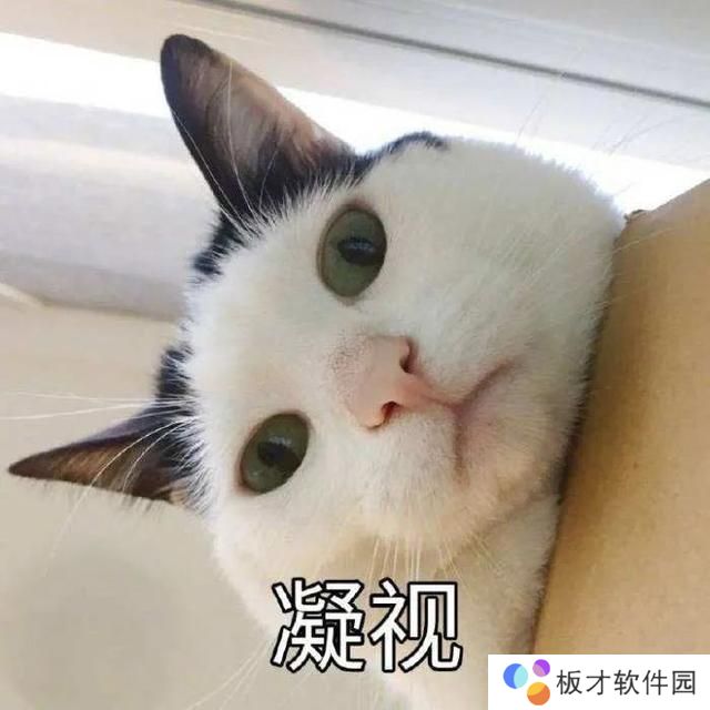 猫猫能有什么坏心眼呢表情包分享