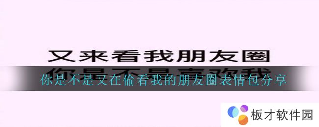 你是不是又在偷看我的朋友圈表情包分享