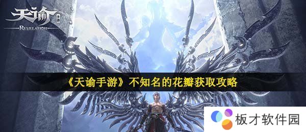 《天谕手游》不知名的花瓣获取攻略