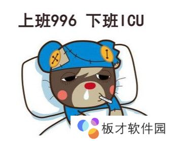 996 007梗的含义及出处介绍