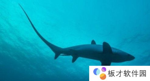 2021《支付宝》1月11日每日一题答案（2）