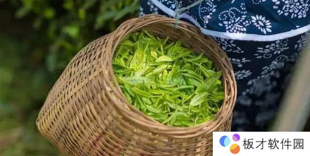 2021《支付宝》1月12日每日一题答案（2）