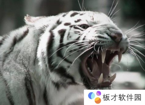 2021《微博》1月12日森林驿站每日一题答案