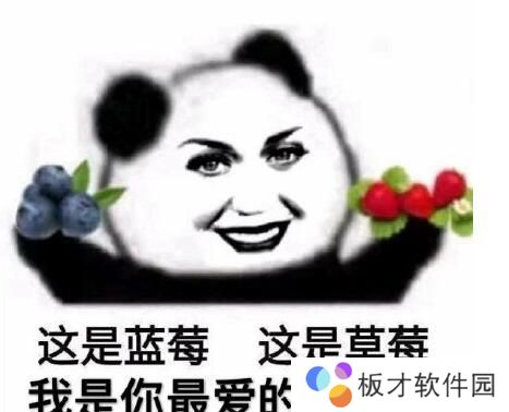 王友梅竟是我自己表情包大全分享