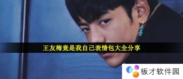 王友梅竟是我自己表情包大全分享