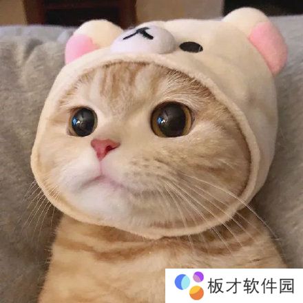 2021年最火的微信头像大全分享高清原图