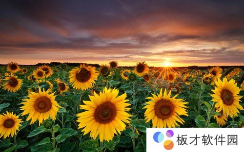 《抖音》2021年最新文案分享