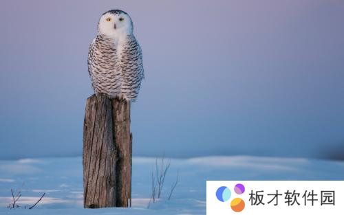 《抖音》2021年最新文案分享