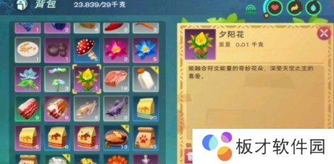 《创造与魔法》夕阳花刷新位置介绍