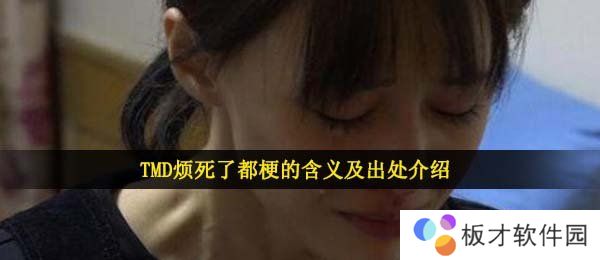 TMD烦死了都梗的含义及出处介绍