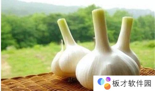 2021《支付宝》蚂蚁庄园1月26日每日一题答案（3）