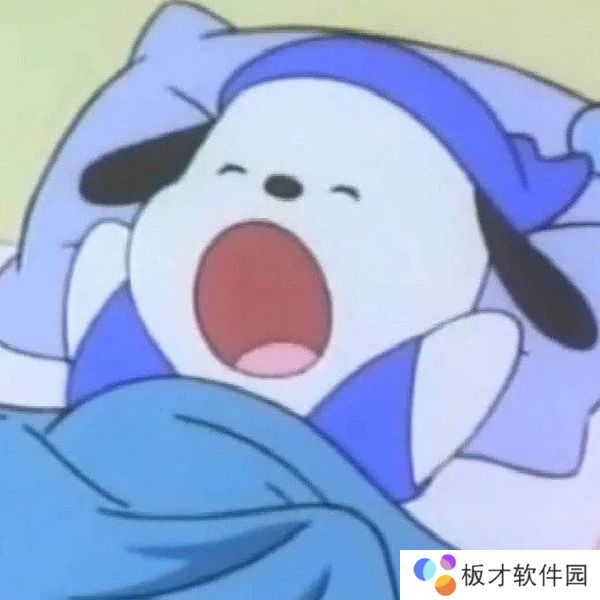 帕恰狗意思介绍