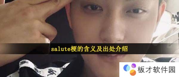 salute梗的含义及出处介绍