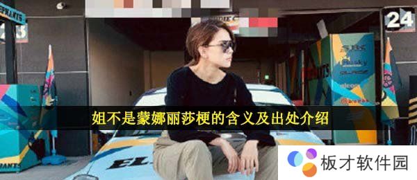 姐不是蒙娜丽莎梗的含义及出处介绍