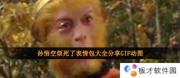 孙悟空烦死了表情包大全分享GIF动图