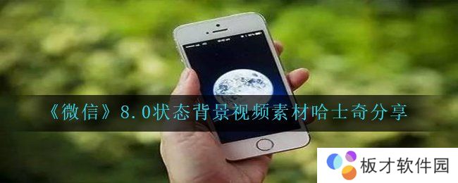 《微信》8.0状态背景视频素材哈士奇分享