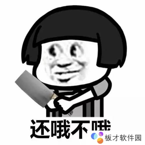 每个人的身上都有毛毛梗的含义及出处介绍