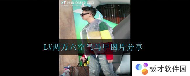LV两万六空气马甲图片分享