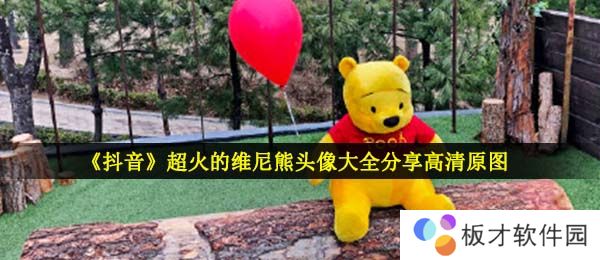 《抖音》超火的维尼熊头像大全分享高清原图