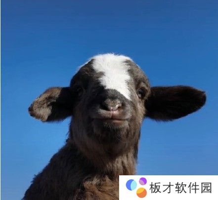 2021《抖音》最火的情侣头像大全分享高清原图