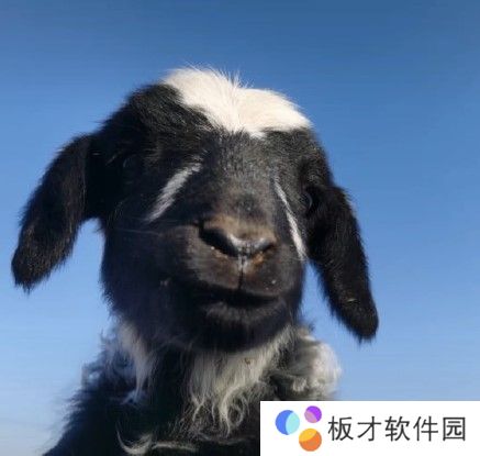 2021《抖音》最火的情侣头像大全分享高清原图