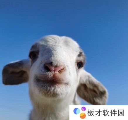 2021《抖音》最火的情侣头像大全分享高清原图