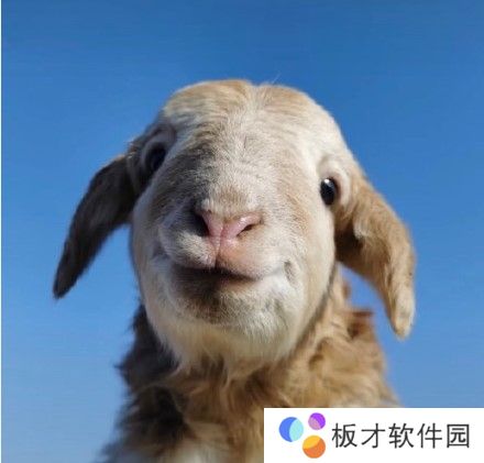 2021《抖音》最火的情侣头像大全分享高清原图