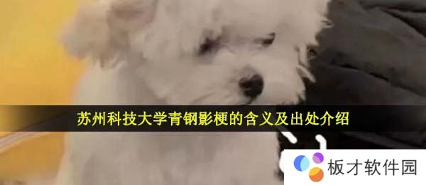 苏州科技大学青钢影梗的含义及出处介绍