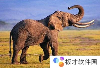 2021《微博》2月5日森林驿站每日一题答案