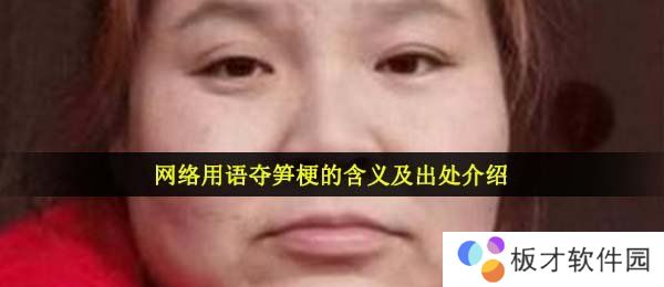 网络用语夺笋梗的含义及出处介绍